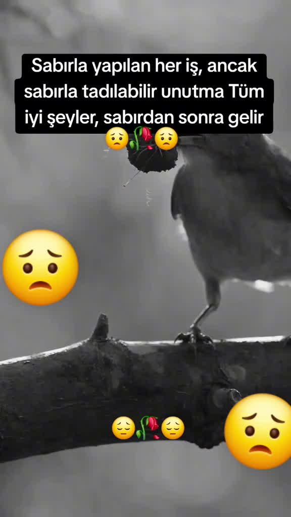 @{♤&♧}😭(HASRETİM😥SANA😭)