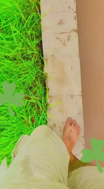 @عمیر جٹ میراں بہخش کا