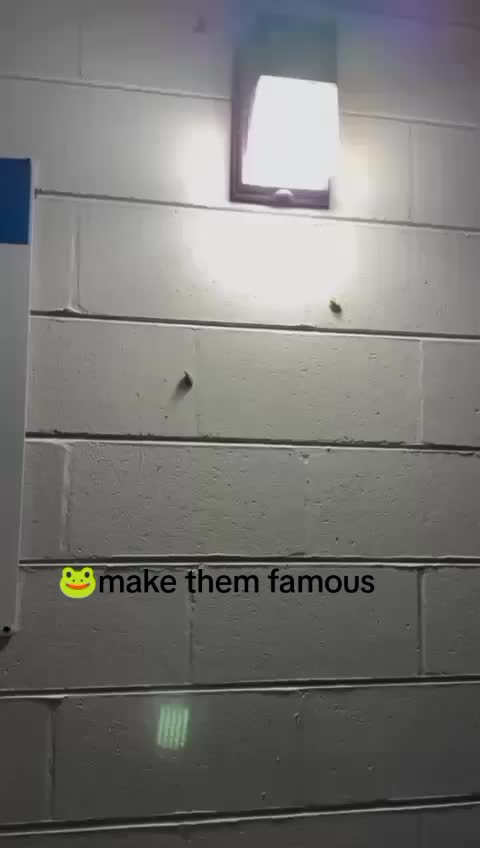 @￴￴