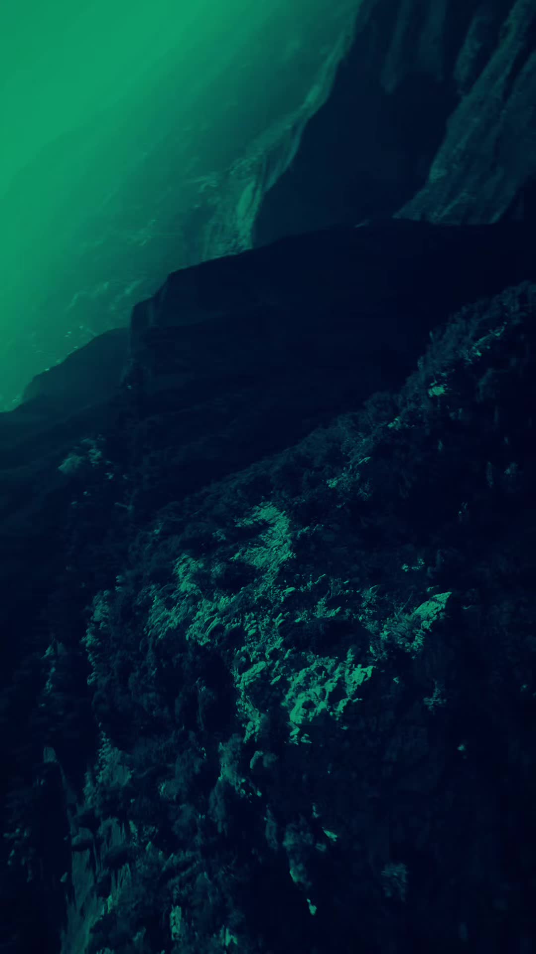 @𝐙𝐚𝐡𝐚𝐌𝐮𝐬𝐢𝐜