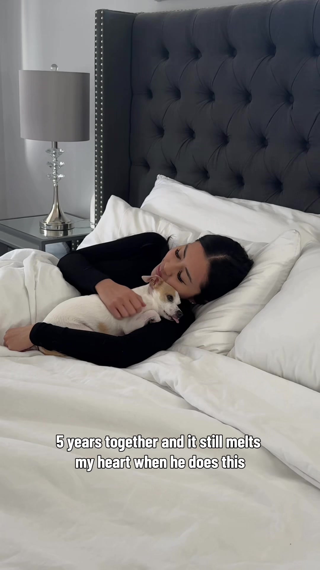 @Bao the Chihuahua