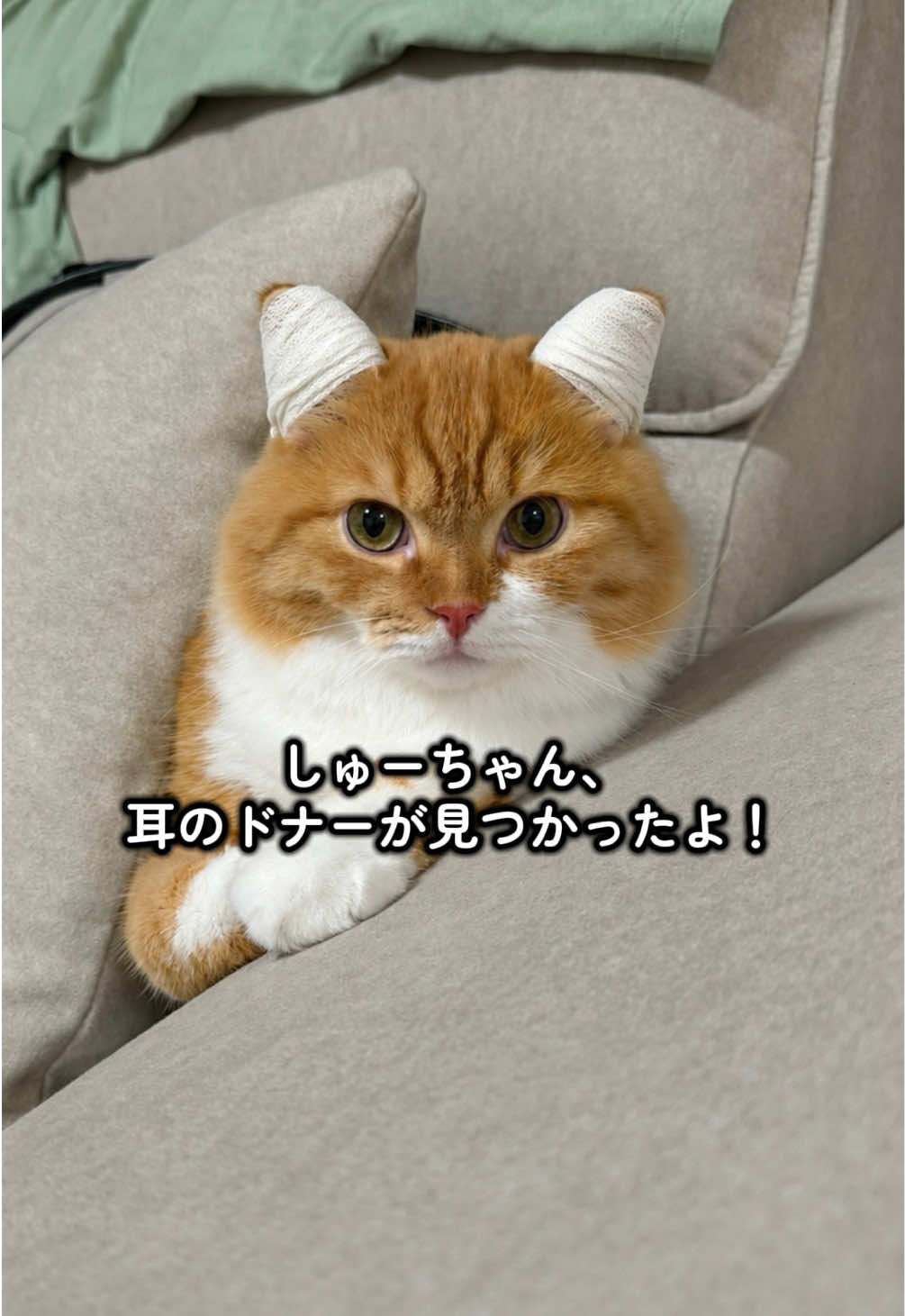 @ごろ
