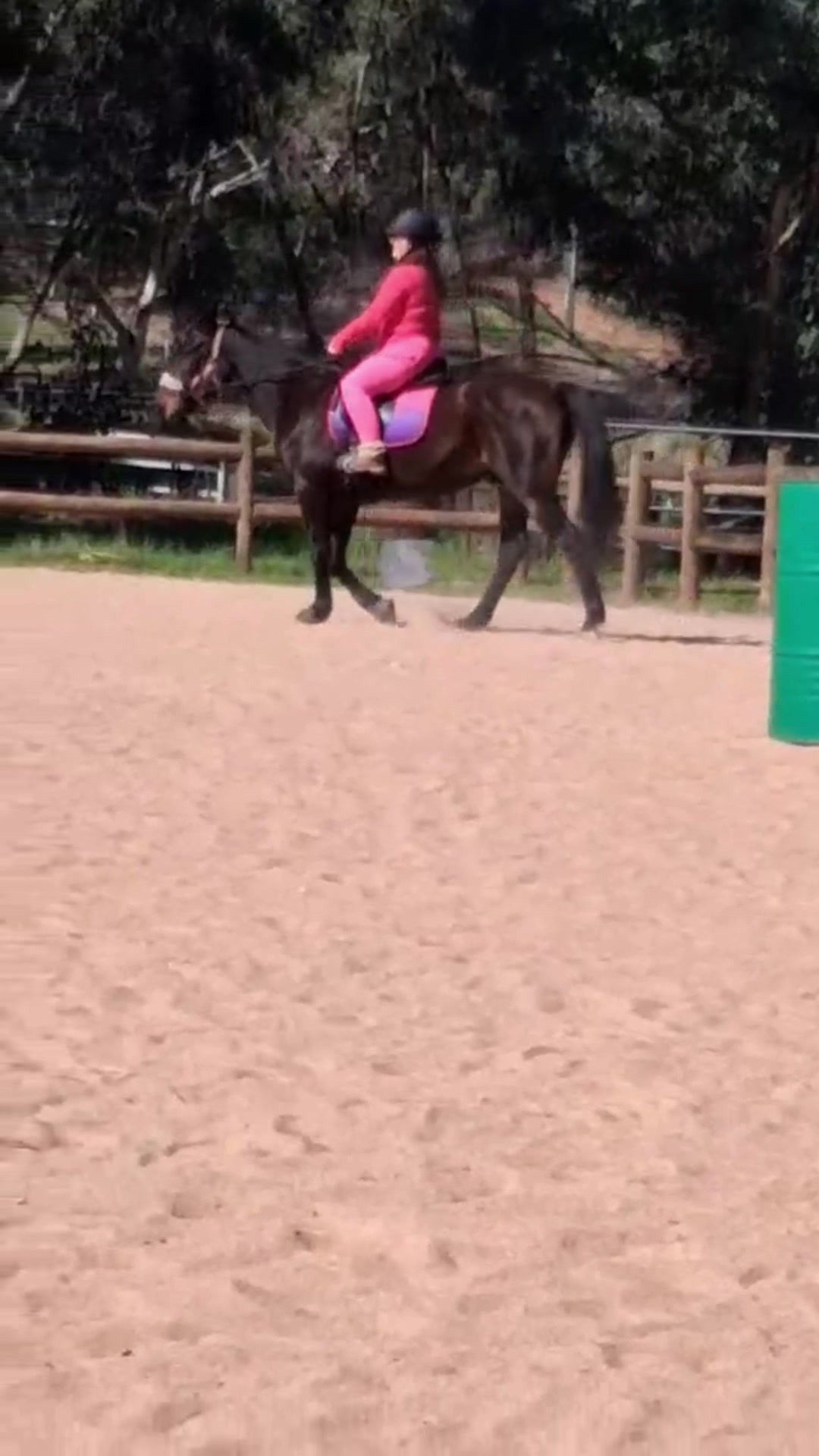 @sian_charlies_horsey_