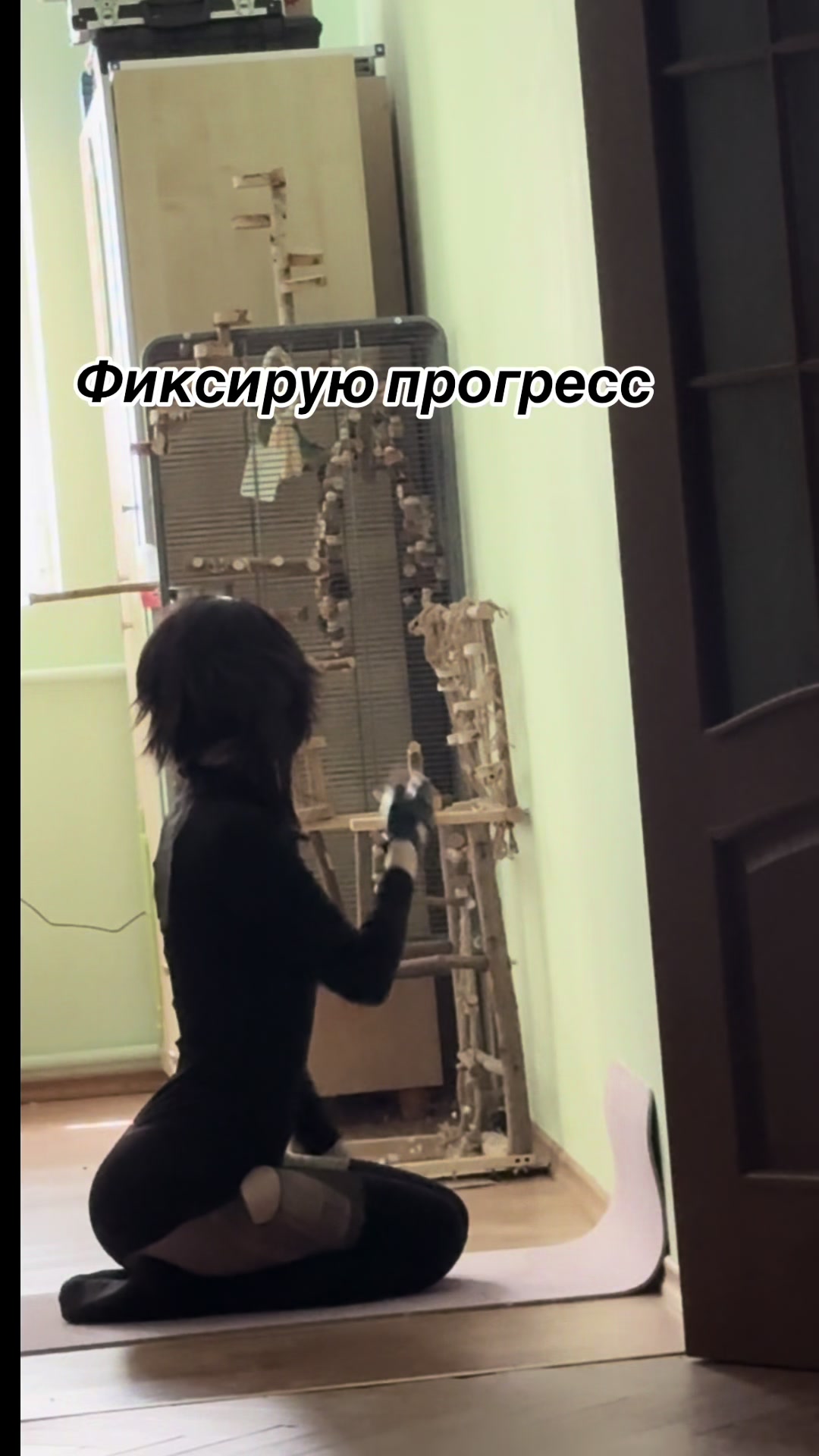 @де білка🇺🇦