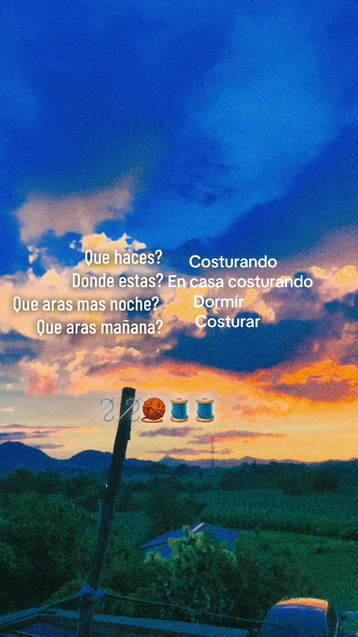 @chica06panda