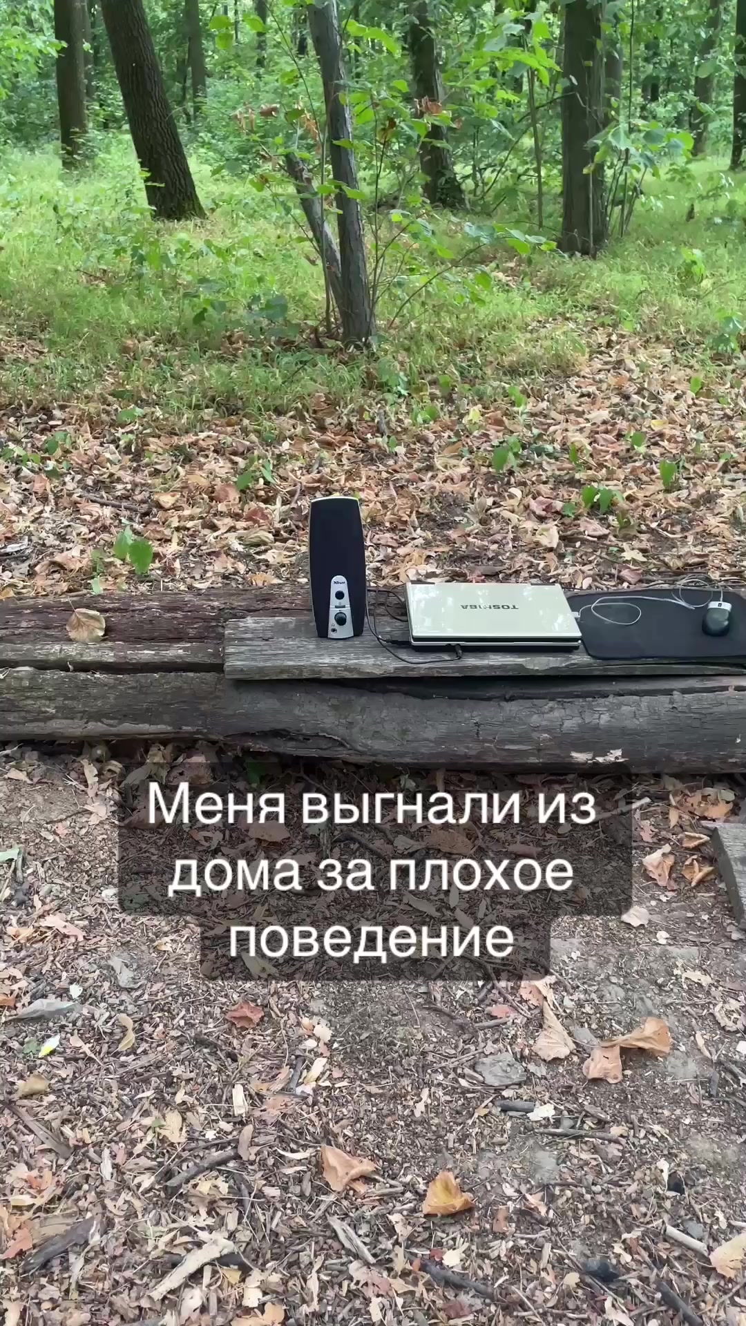 @глеб