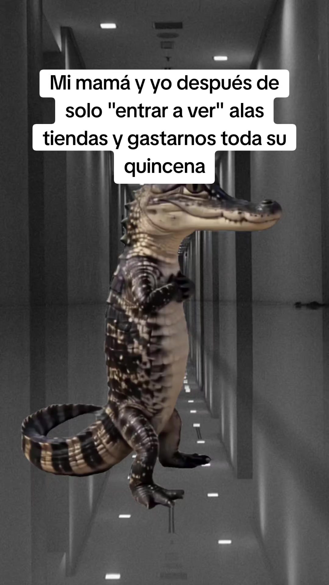 @Luis Carvajal240