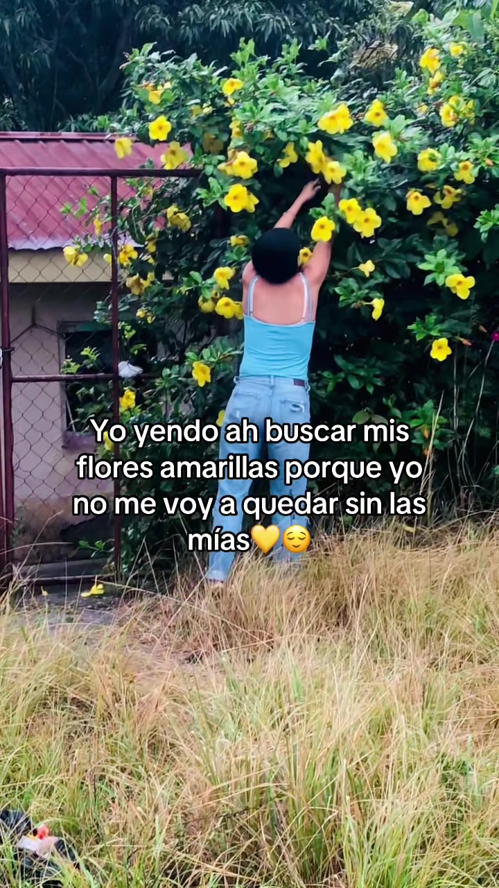 @valeacosta07🌸🕷️