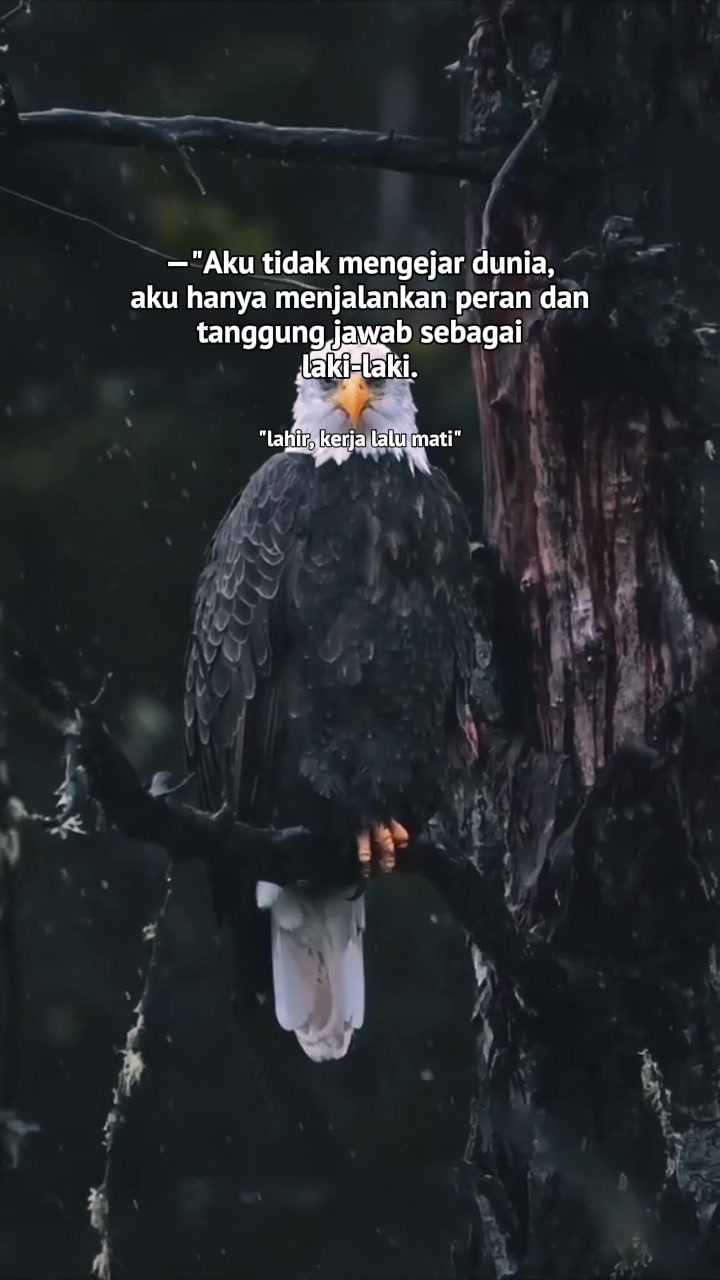 @Introvert☠️