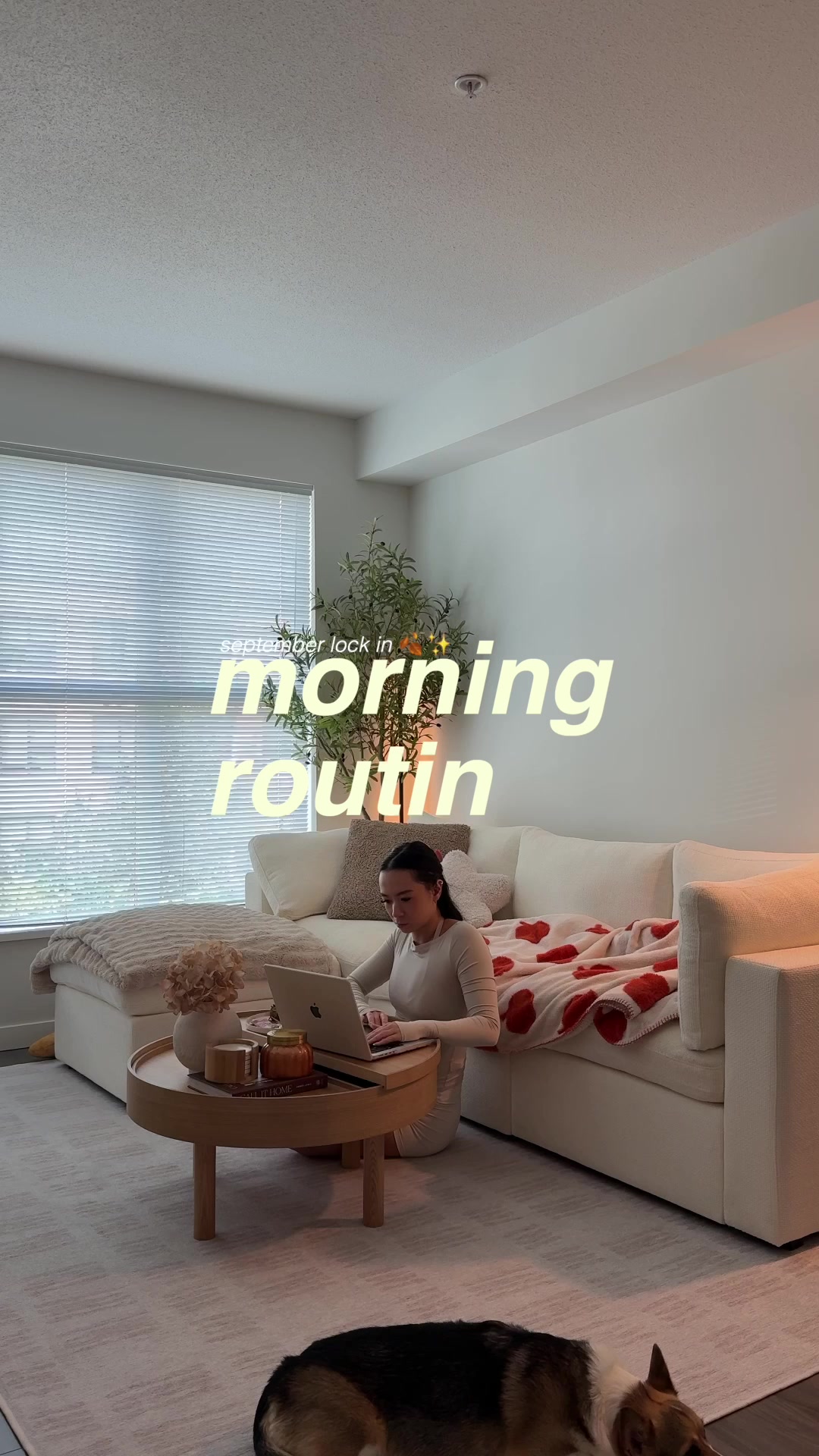 @aly ◡̈