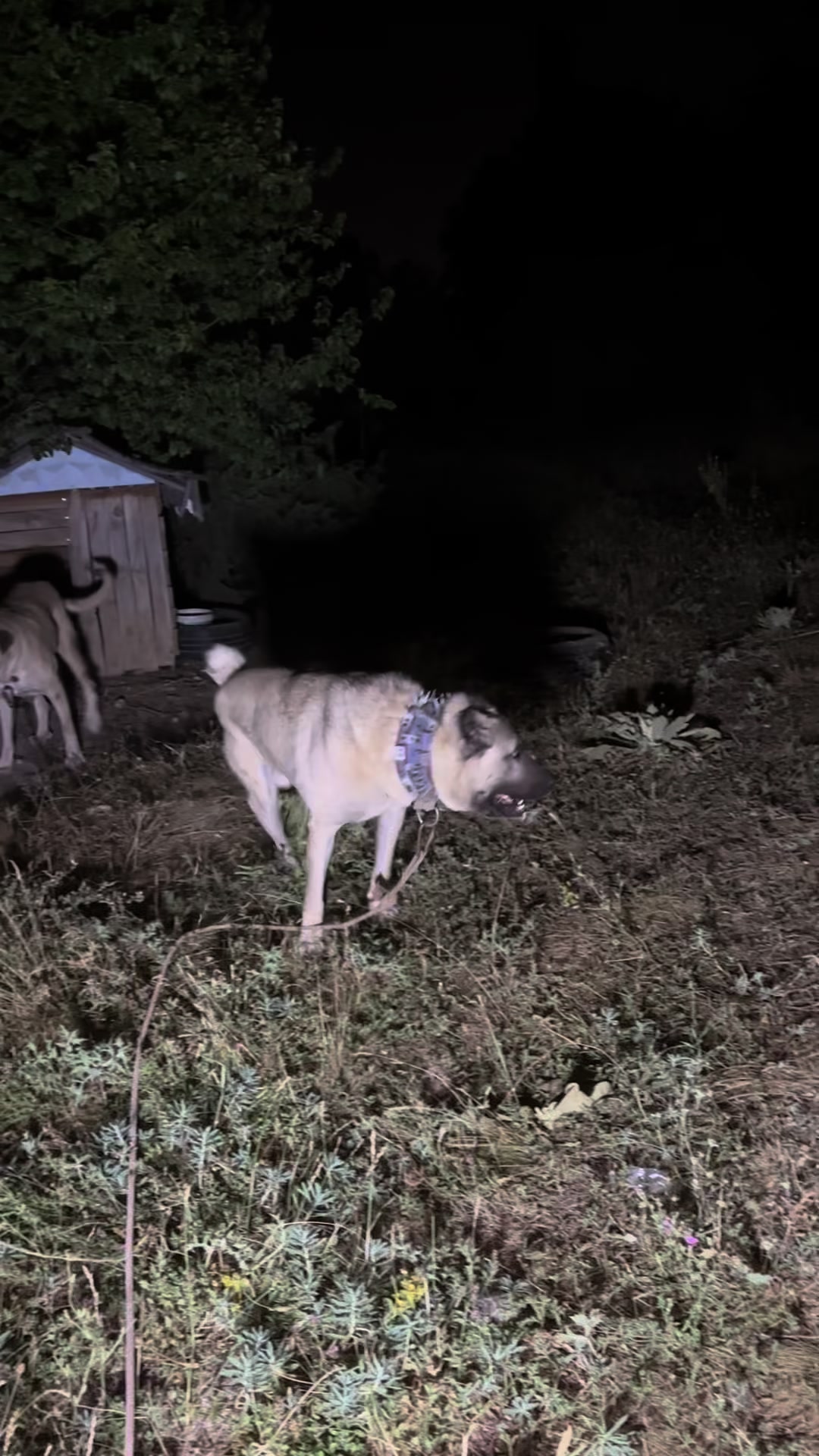 @kazm7456