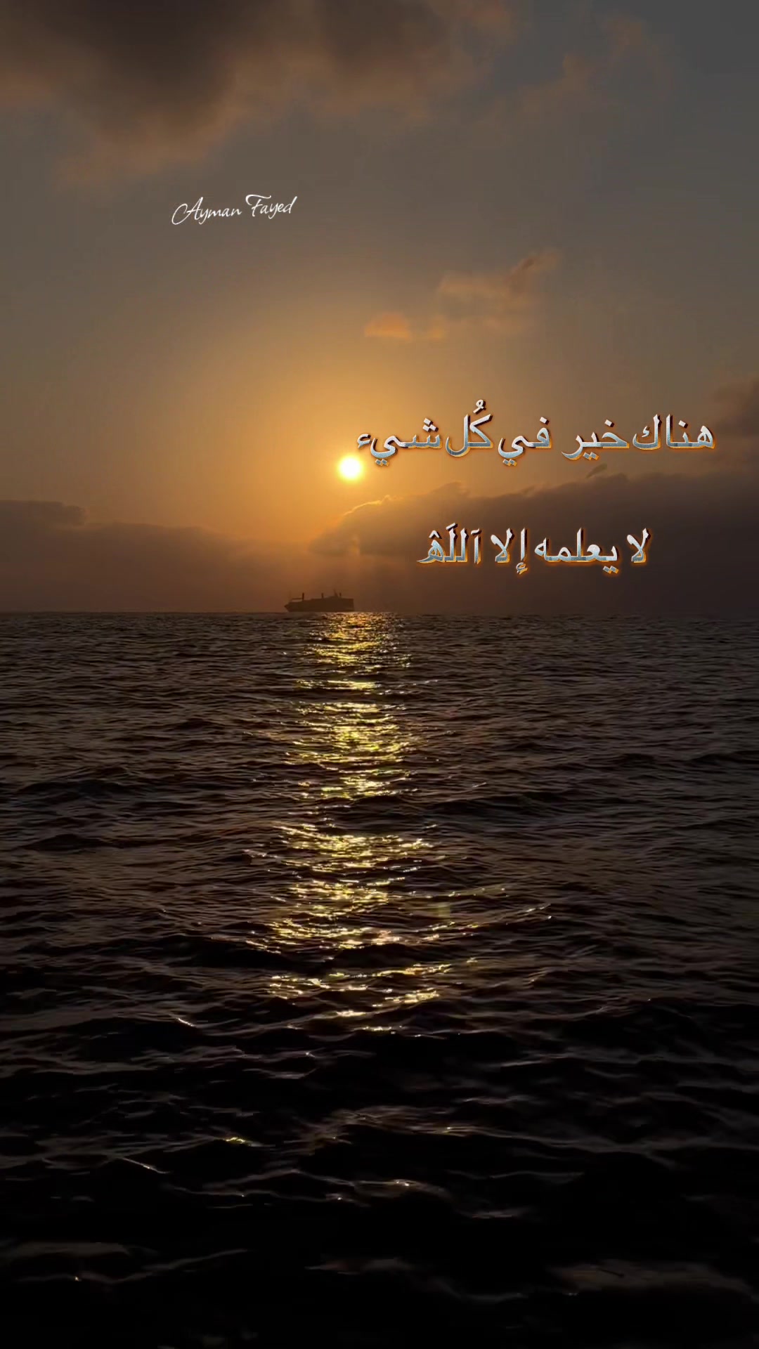 @Ayman Fayed