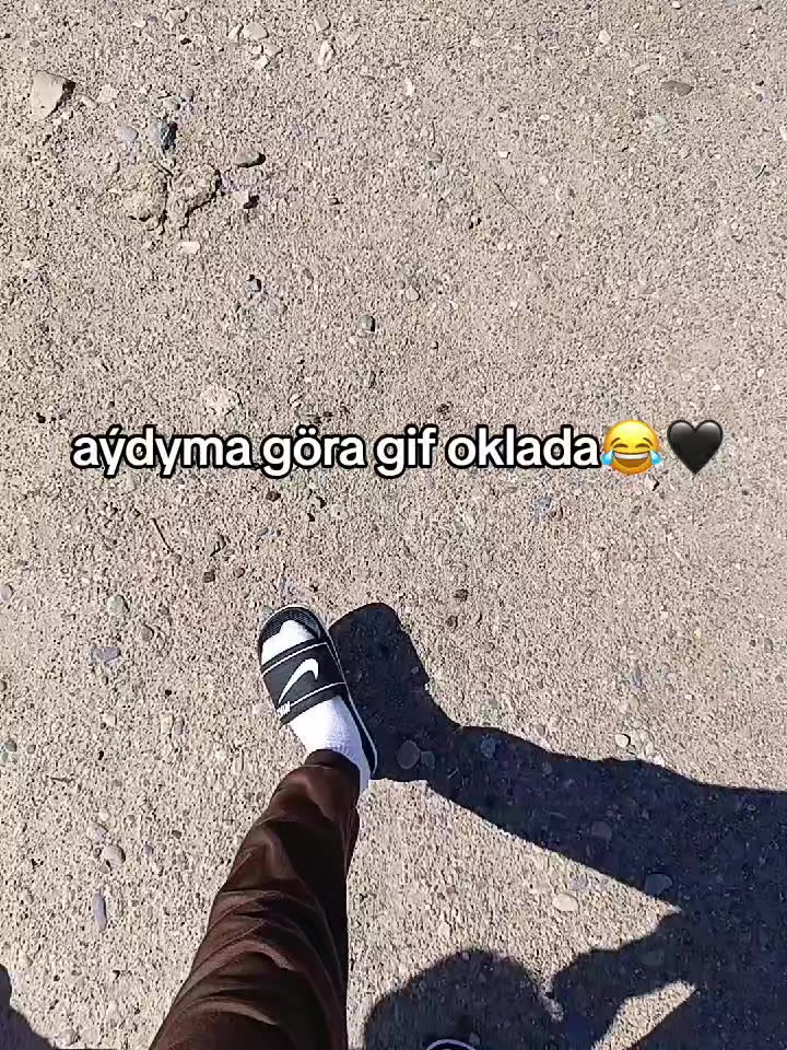 @acc satlyk
