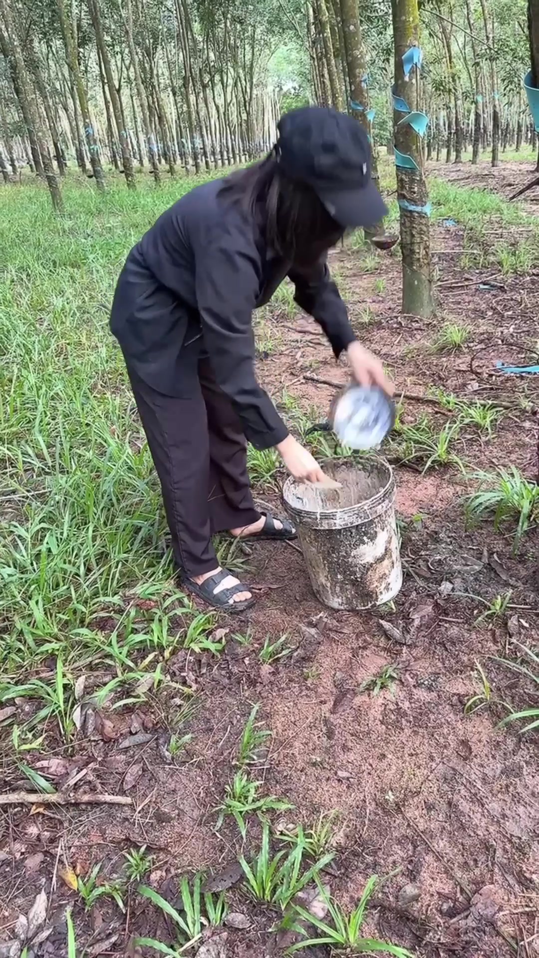 @Cúc Cô Đơn 1 Mình