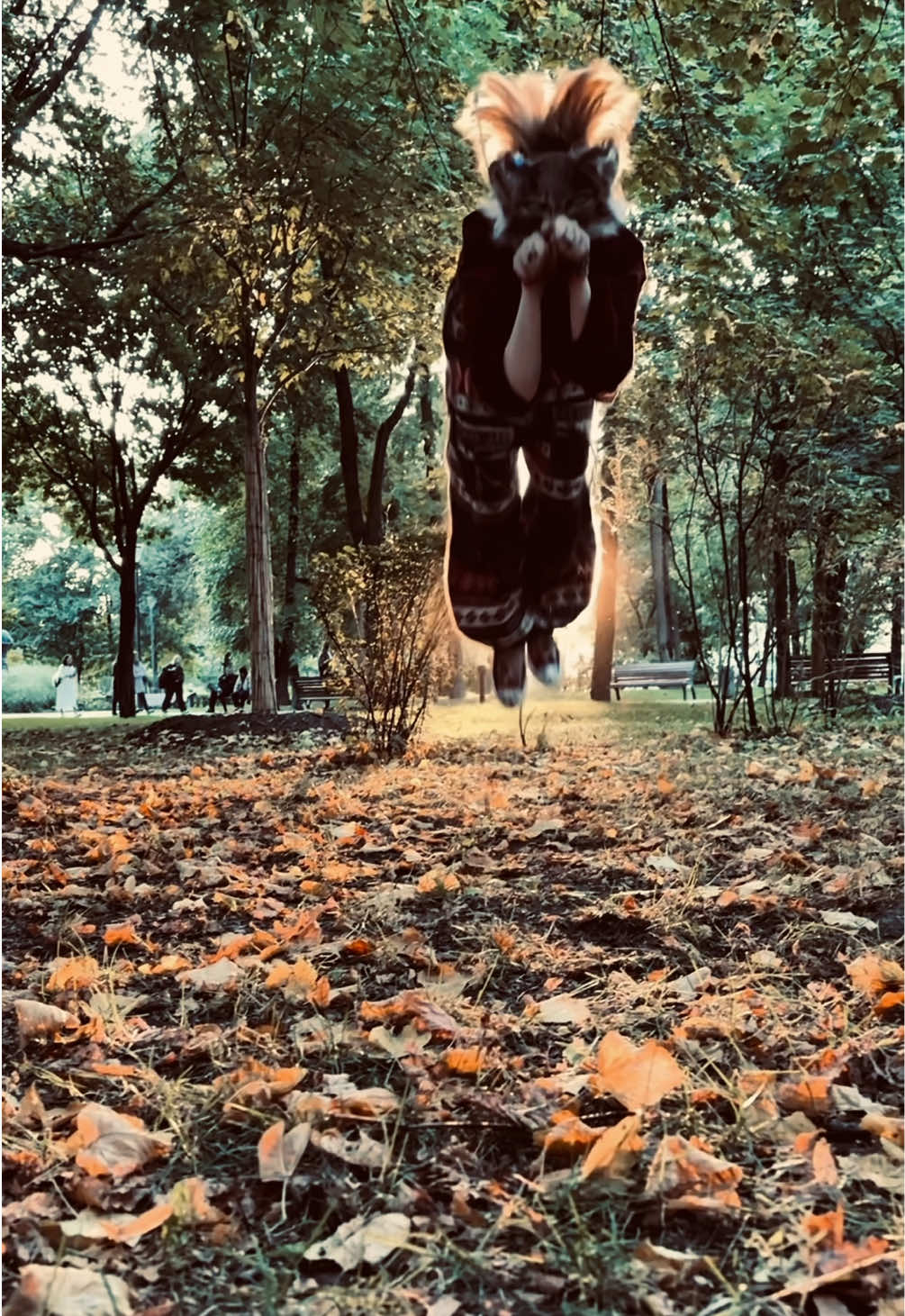 @🐾`🍂Đ𝕀𝕆ℝ𝕀🐾/🕯️@