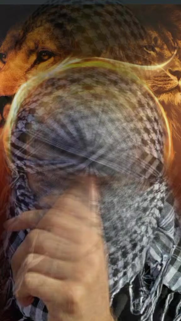@القائدعلوش مر من هنا🇩🇿🫡🇵🇸