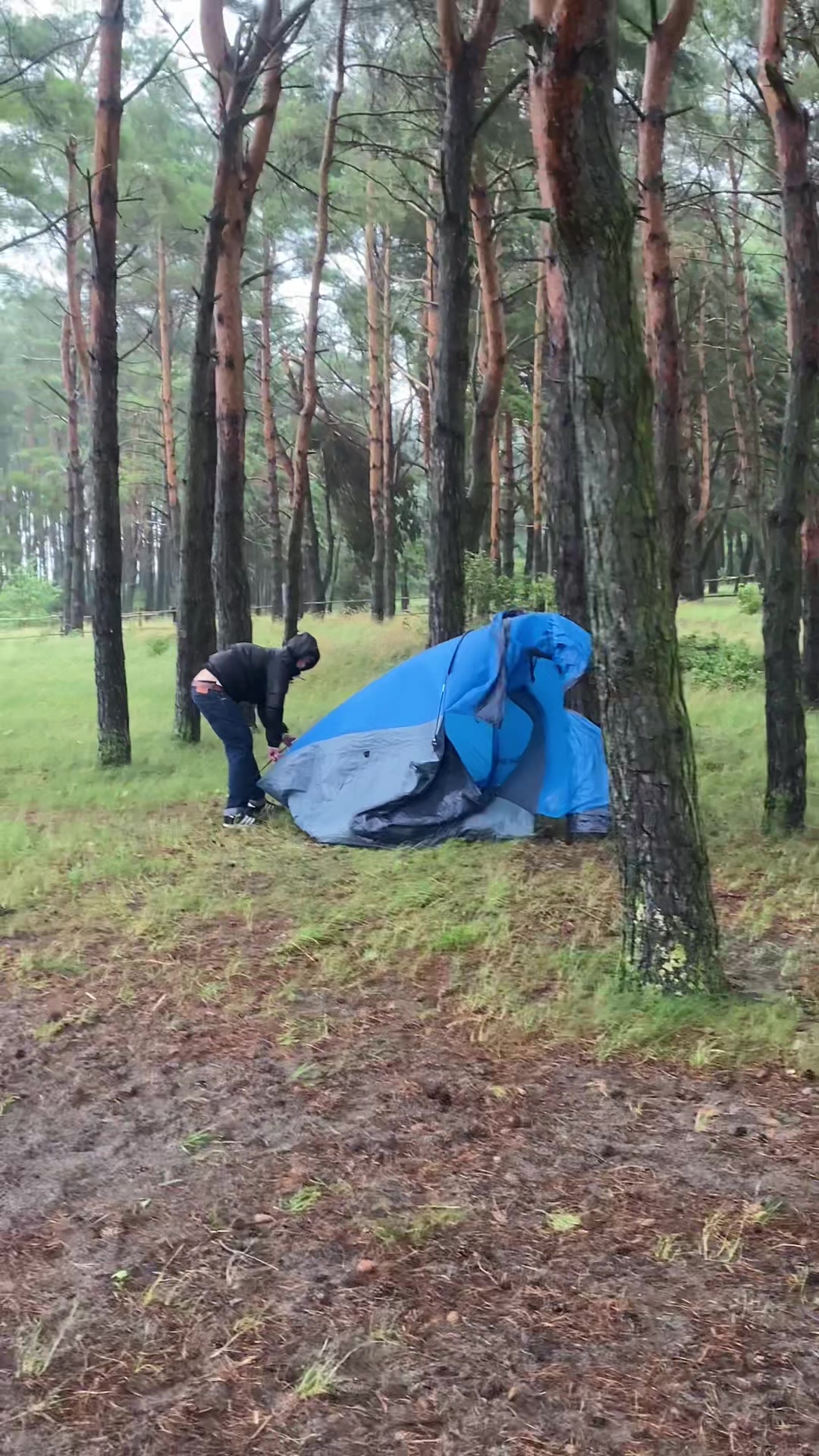 @кукузе ржавая