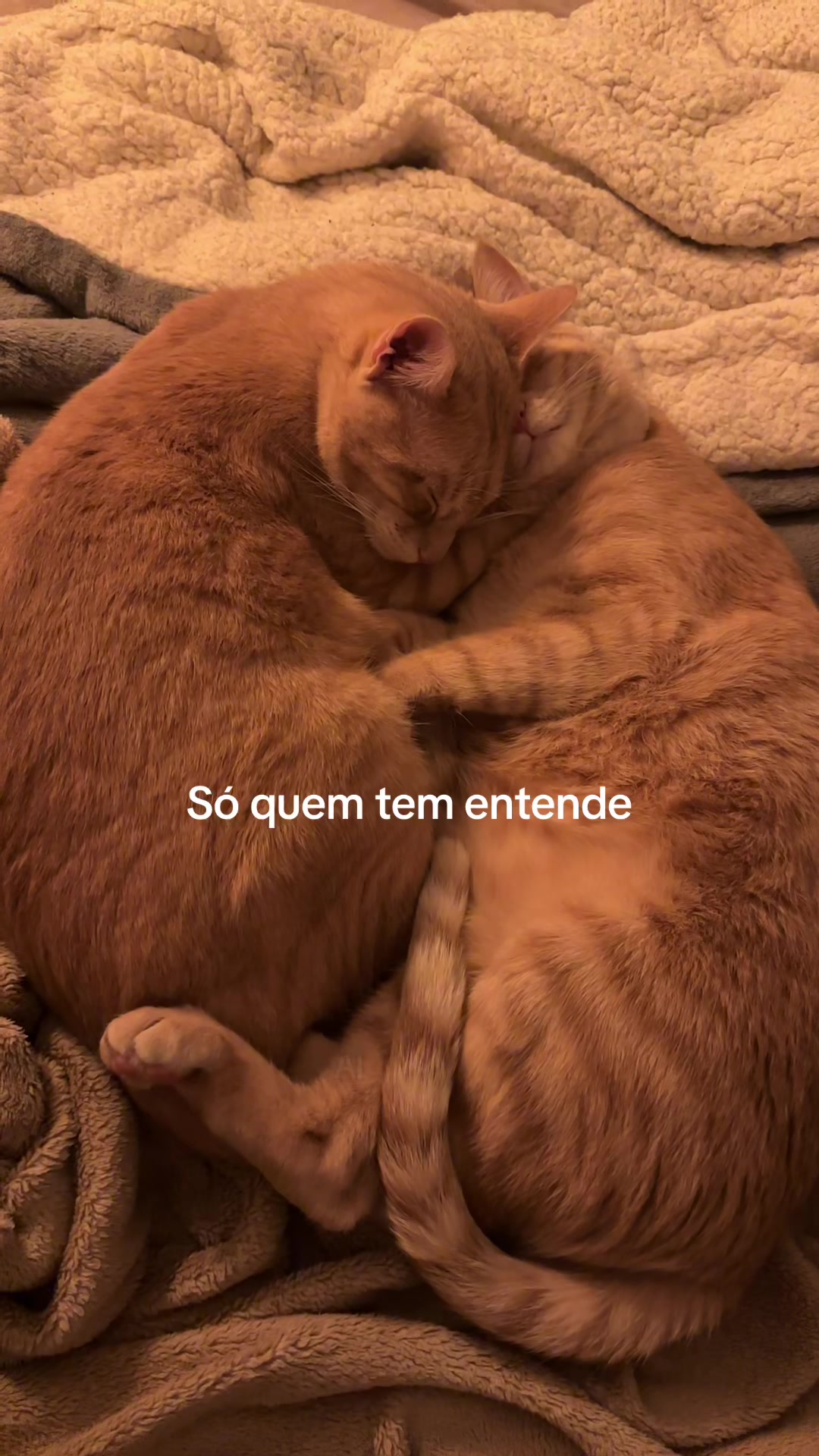 @Mônica Frutuoso