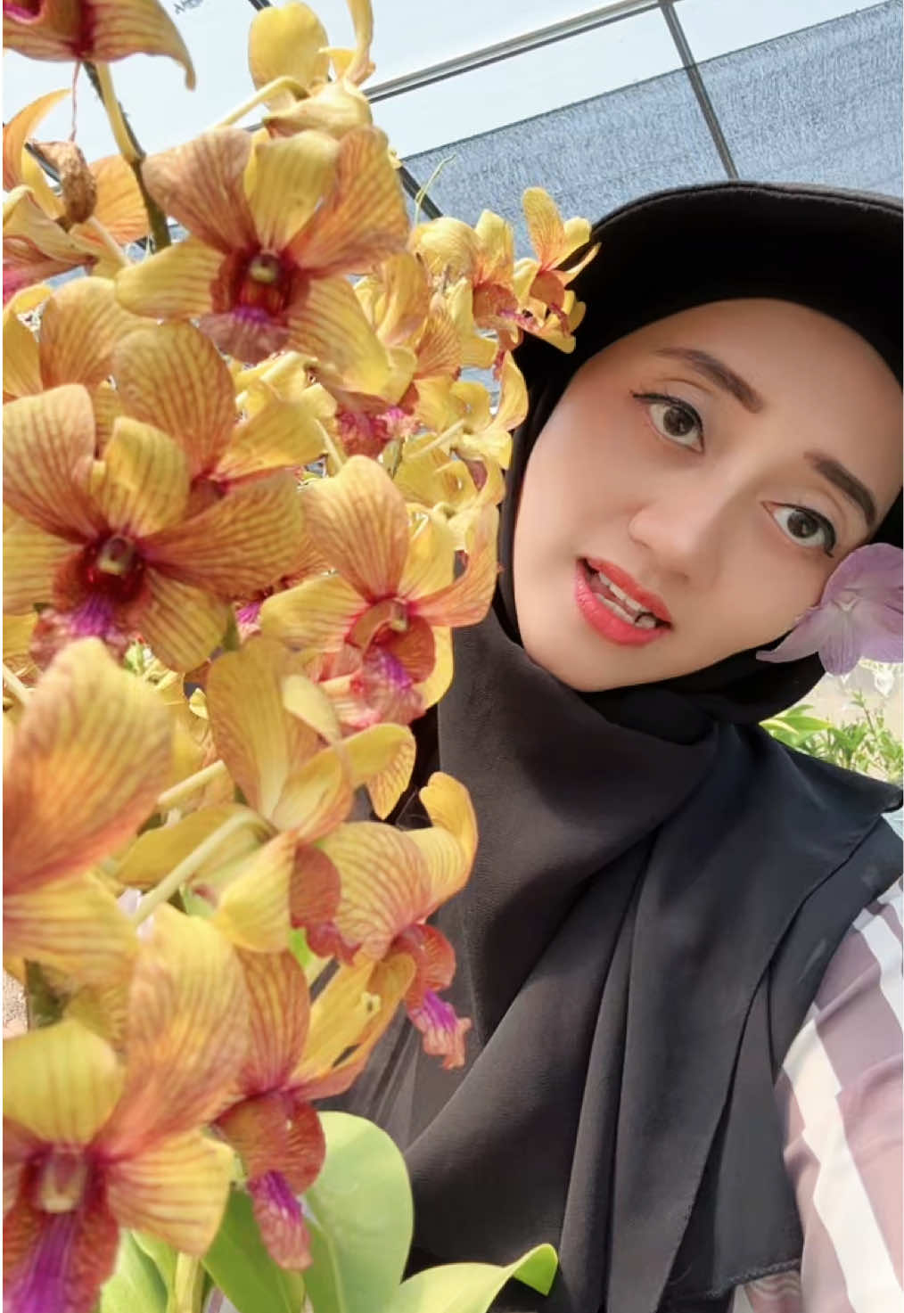 @Anggina Orchid