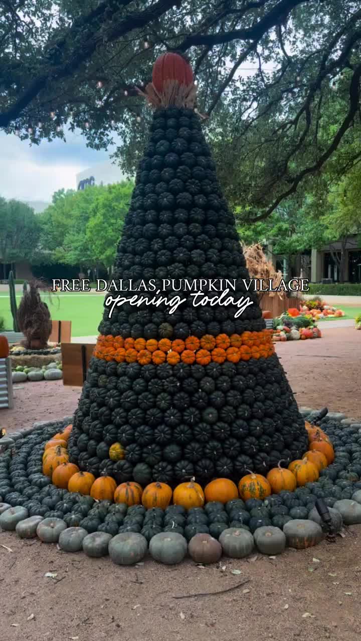 @Dallas Discovered