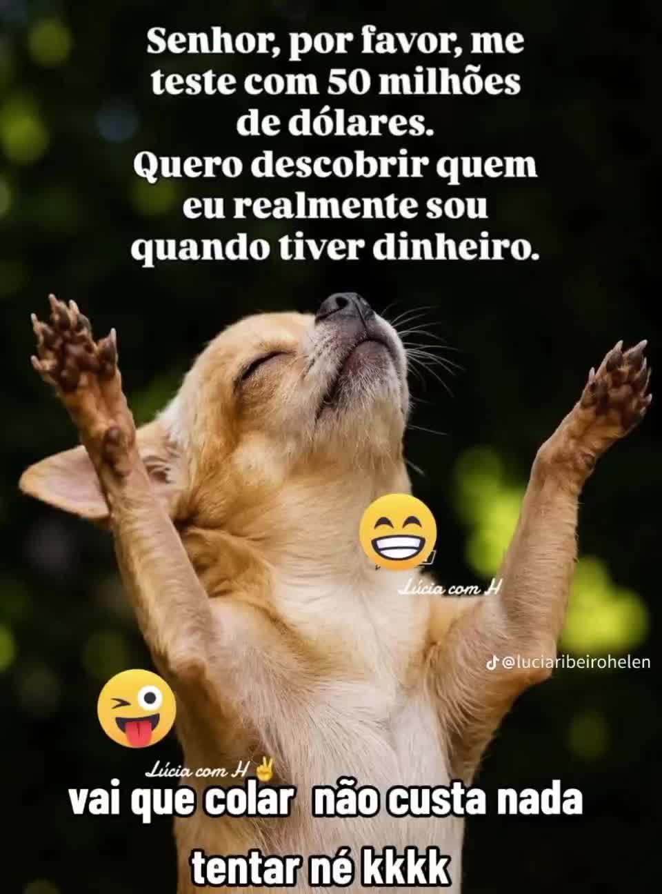 @@erikapereira