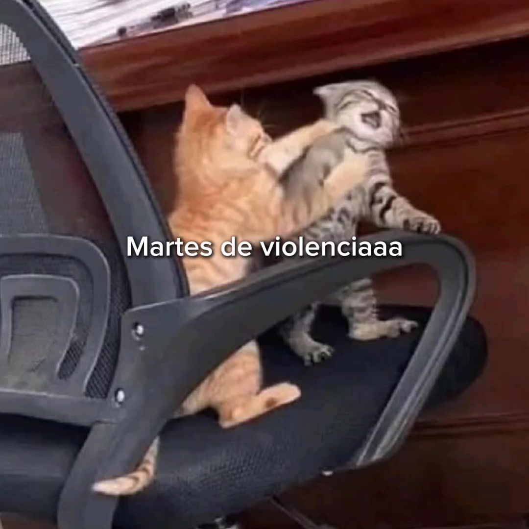 @goodvibessxd