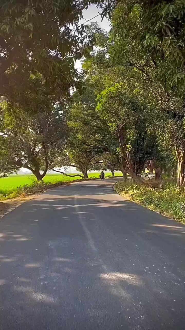 @𝐁𝐈𝐒𝐇𝐍𝐔 𝐃𝐄𝐕