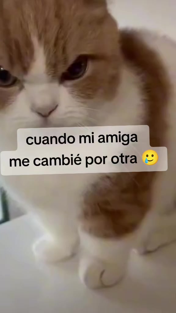 @✨🧡zuleyka🧡✨