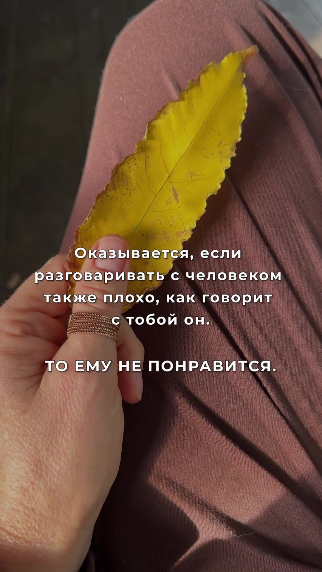 @Vera