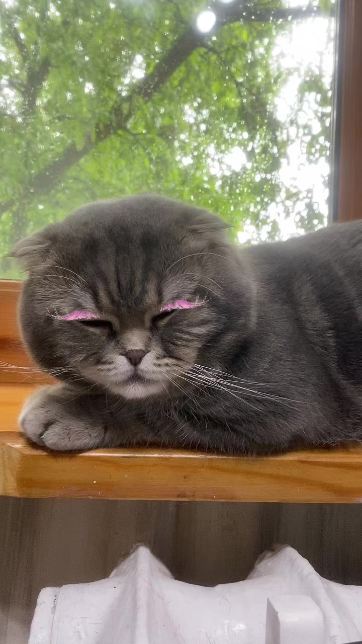 @Елена Николаева