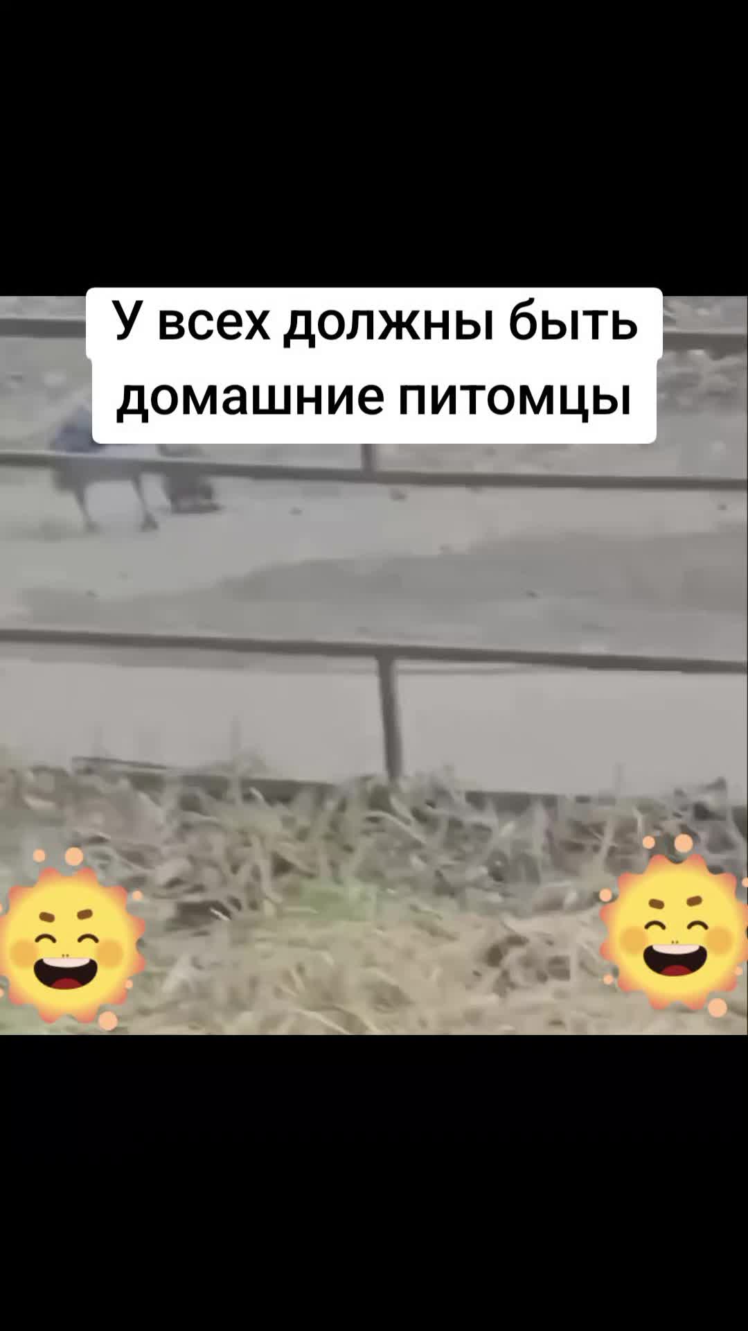 @BomBaLeila88888