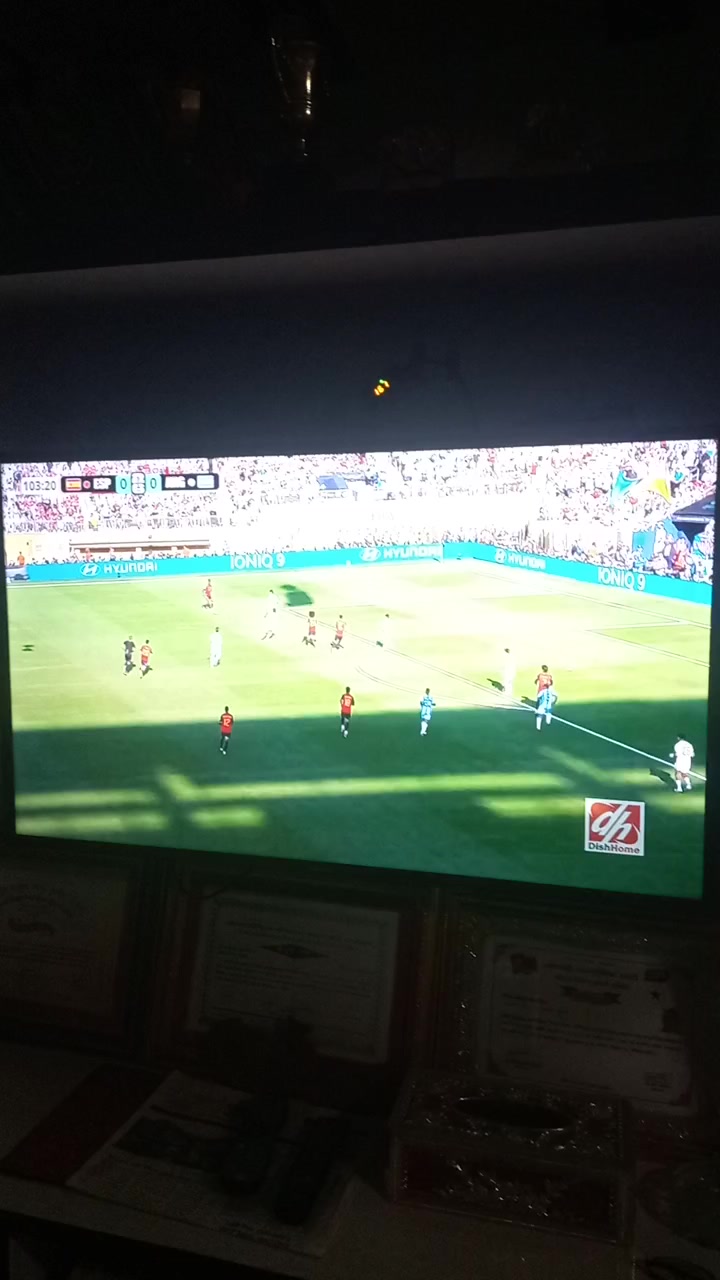 @limbusarita19