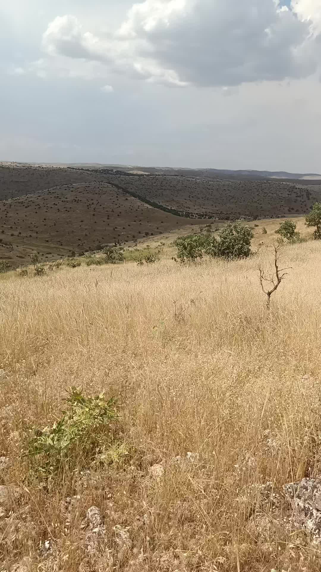 @Abdurrahim g&uuml;l