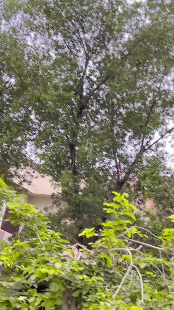 @اسامہ_خان⚡♥️