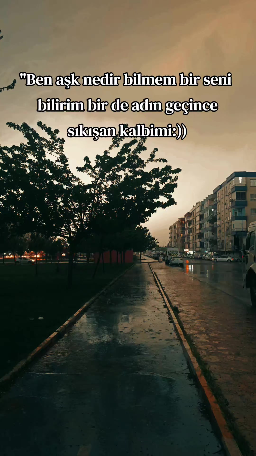 @❤️🩹🕊️