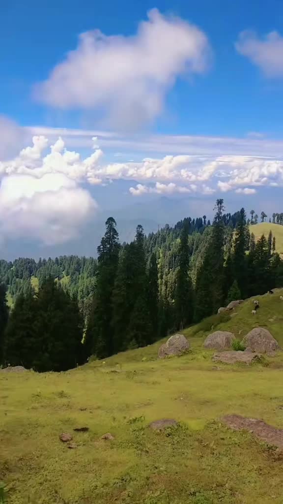 @syeedrahman881