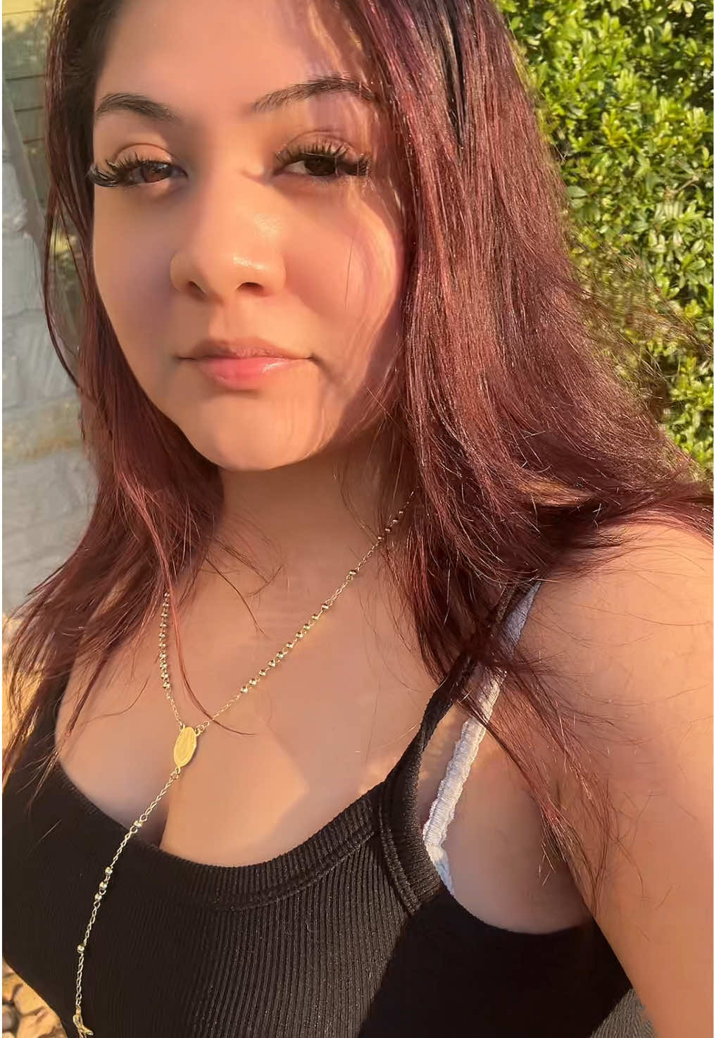 @lilyalexxis