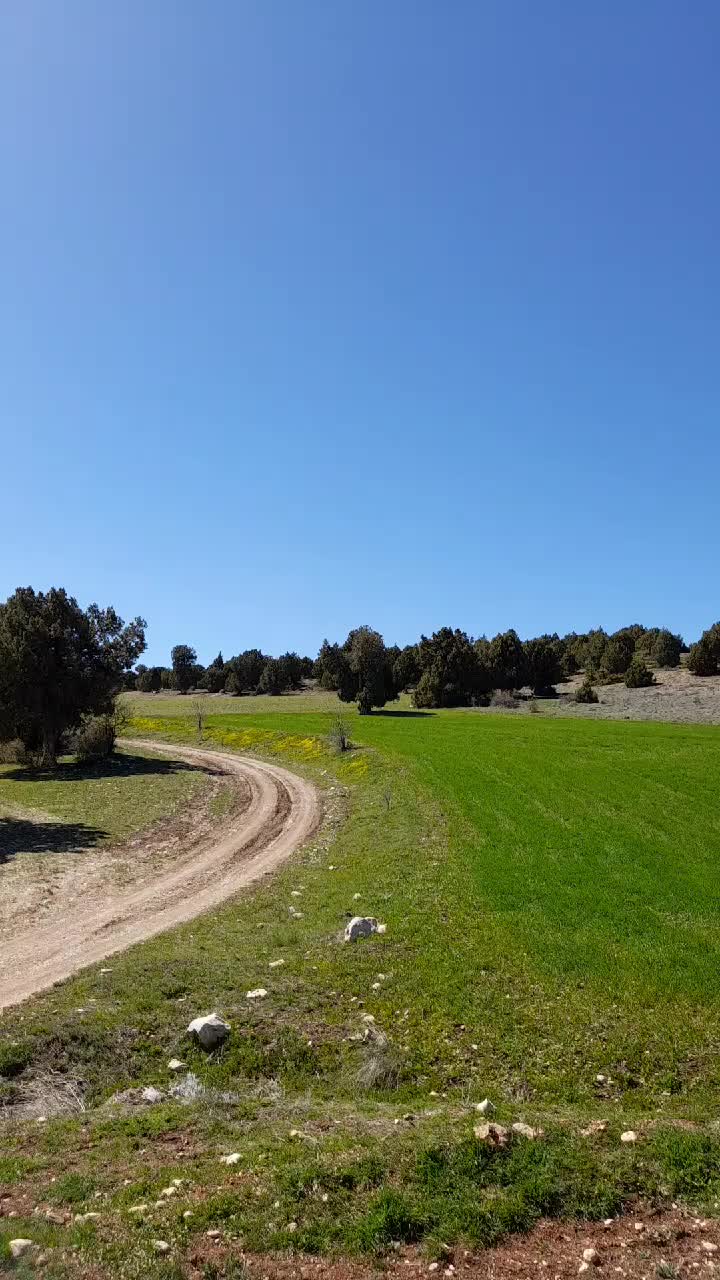 @kadişş