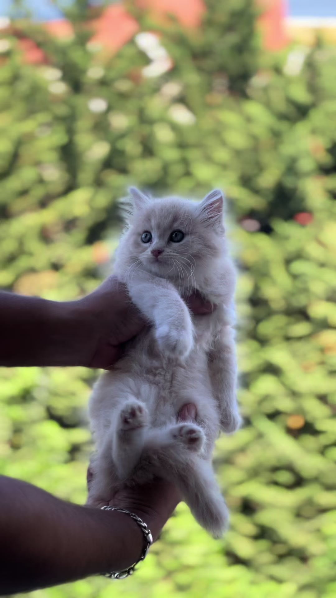 @pets.passion1
