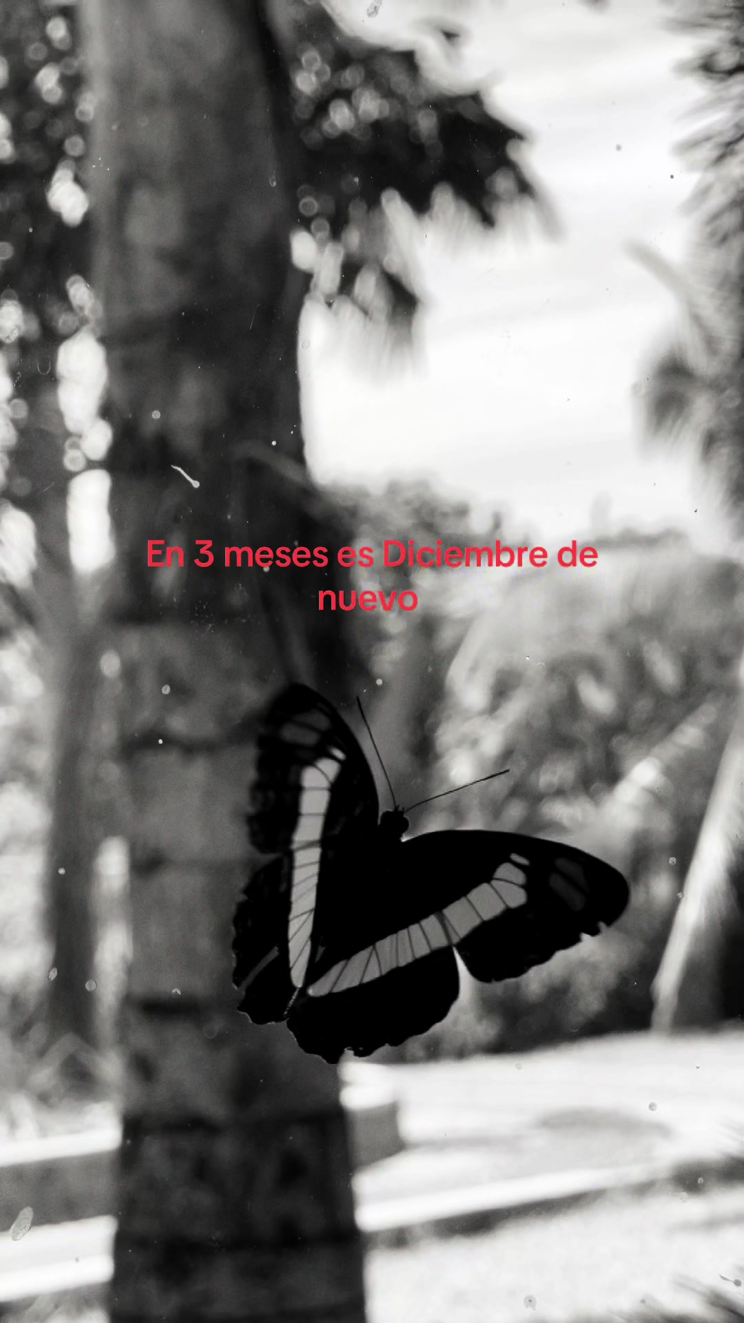 @Tanii♡