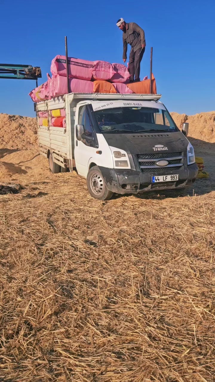@F'erdi B'aly&uuml;z