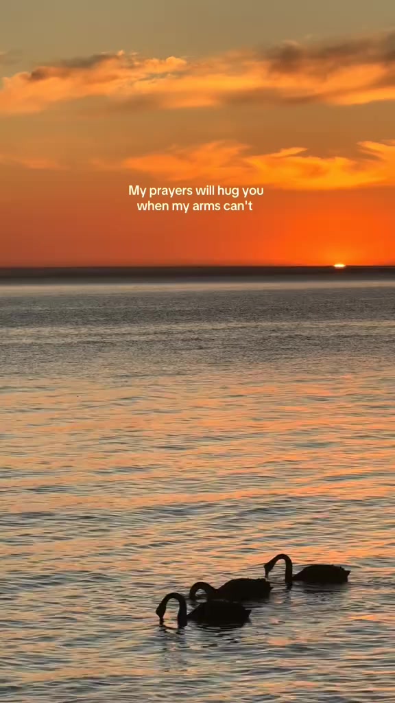 @Mihin Munasinghe