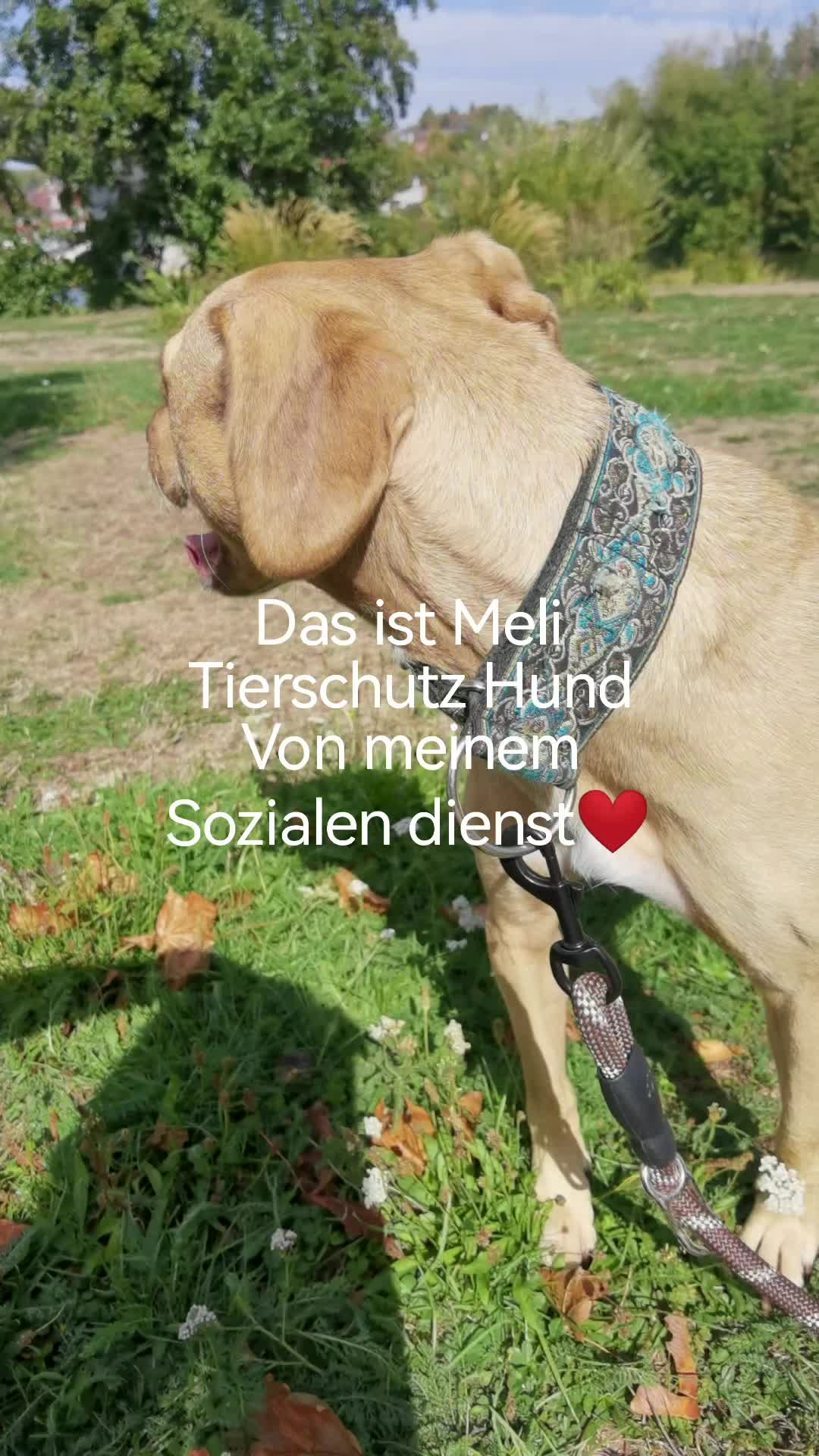 @juli🇩🇪🇺🇸🇷🇺
