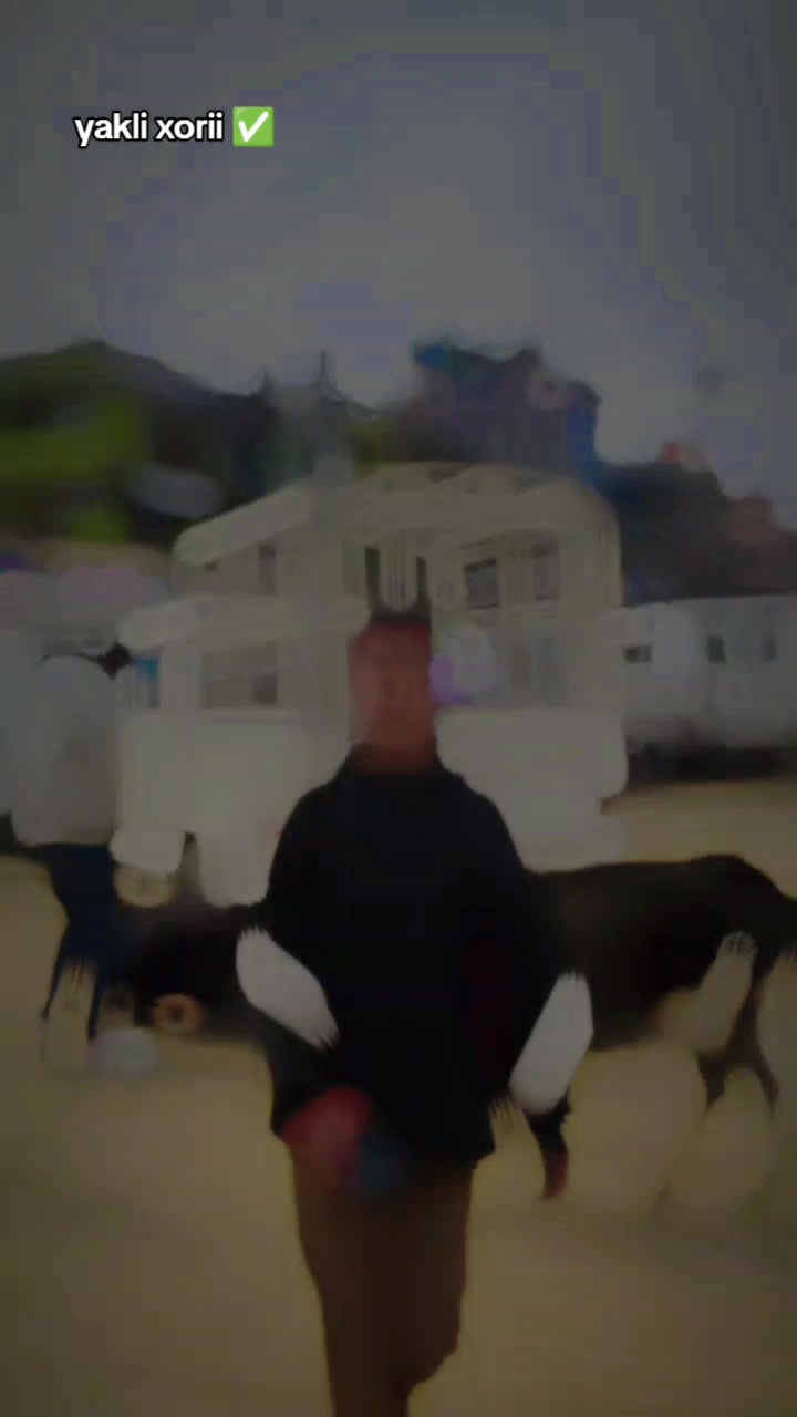 @SãÑî<.🫶.>