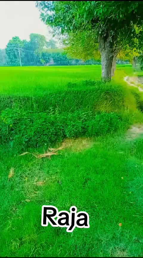 @🥃 RAJA ZAFAR 🍾