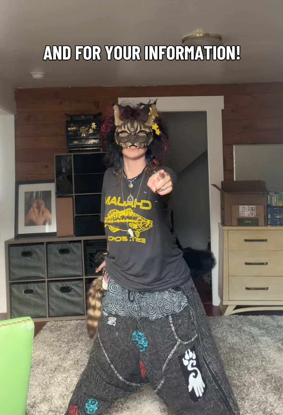 @Taz 🐺