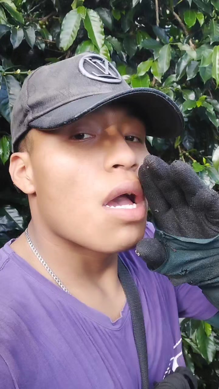 @El Mopri 5/5