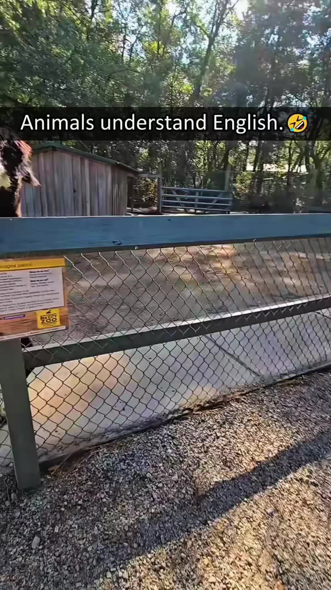 @WildwonderzZzz