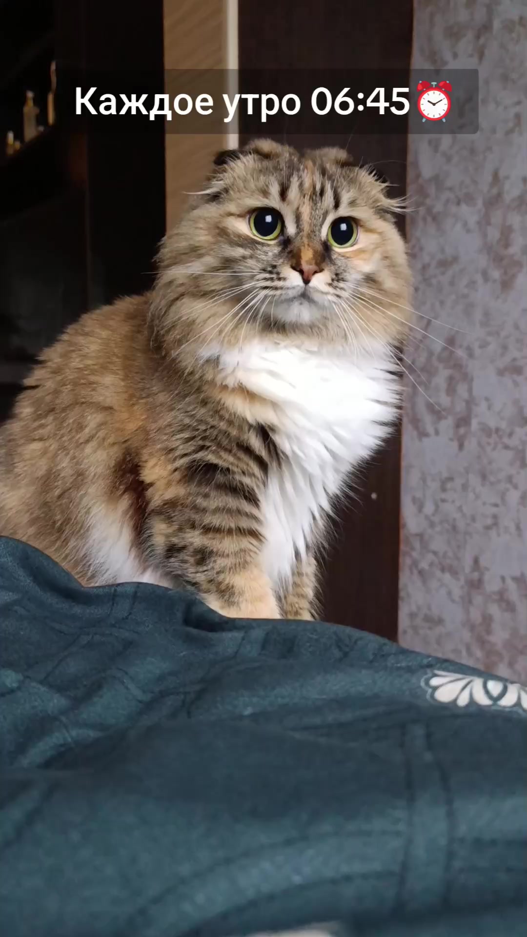 @фрося
