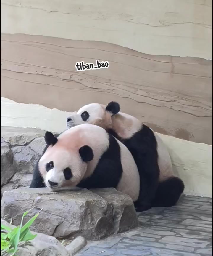 @FuRuHu